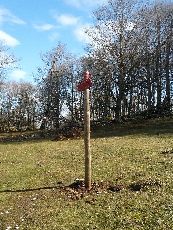 Gezia Aldabideko lepoan