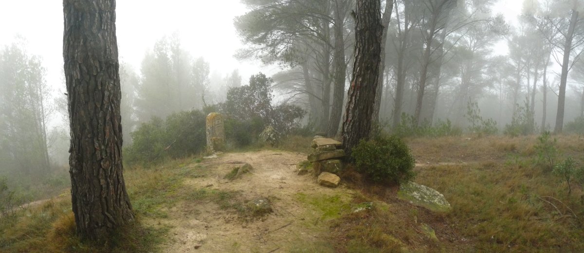 Bide zabalak mendi gainaldean