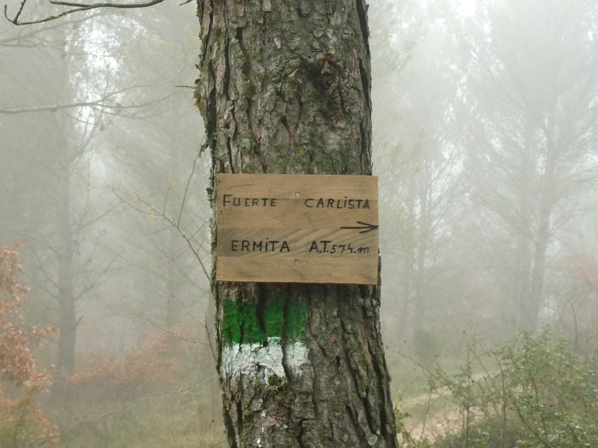 Bide markatua gialurerraino