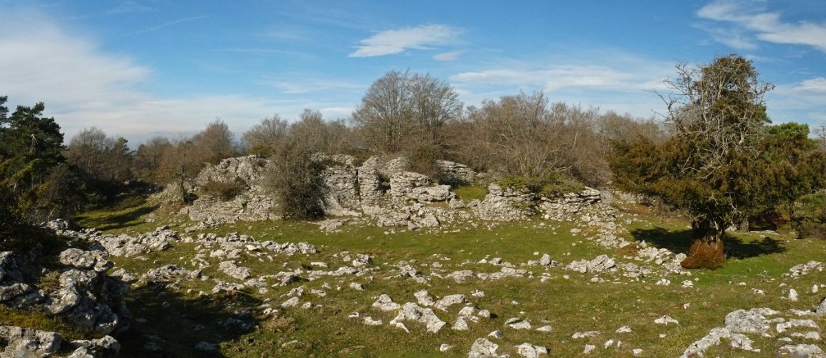 Gailurraren inguruak