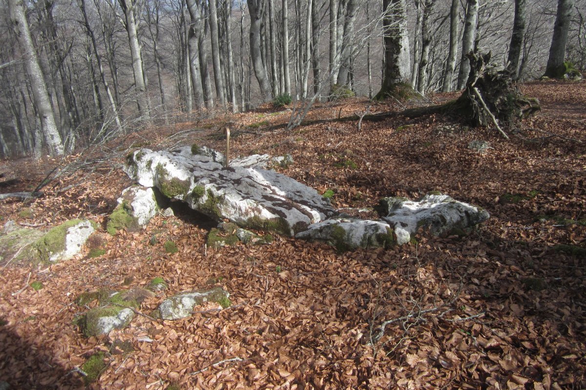 Monolito Intxartea  (Febrero 2020)