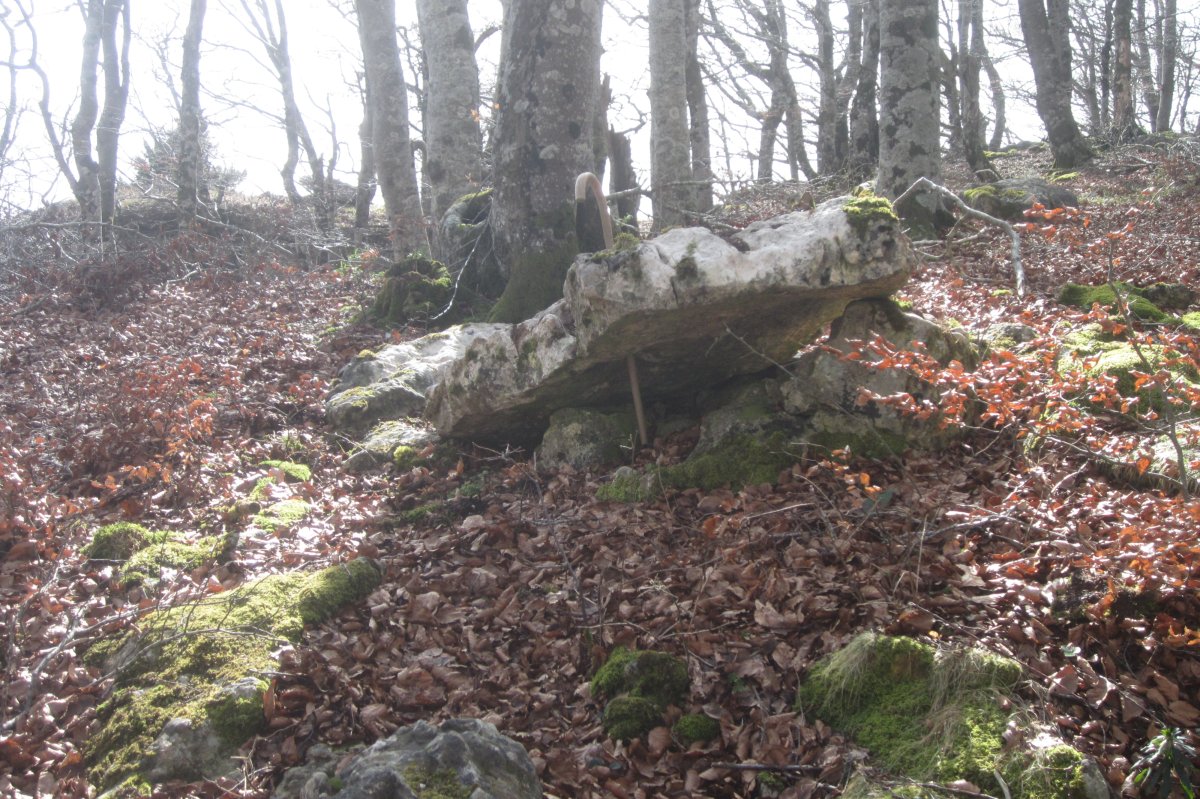 Monolito Intxartea (Febrero 2020)