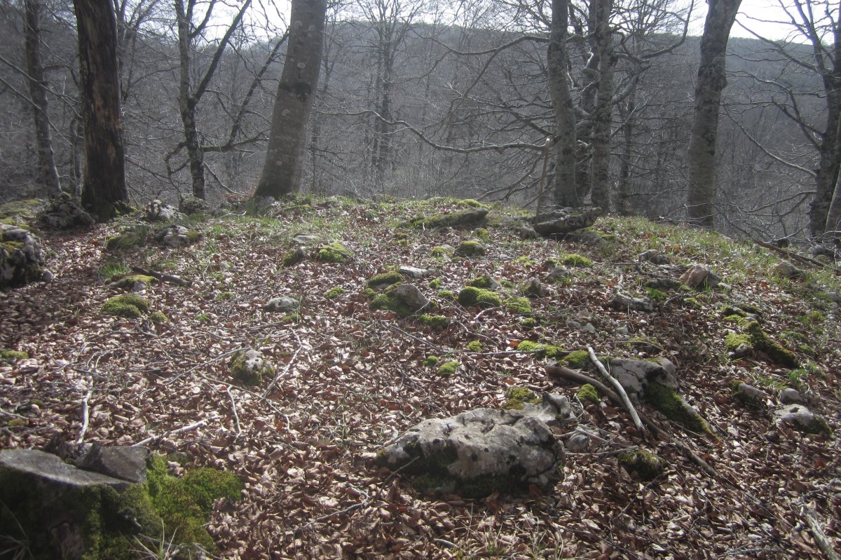 Dólmen * Kapitarte II (Febrero 2020)