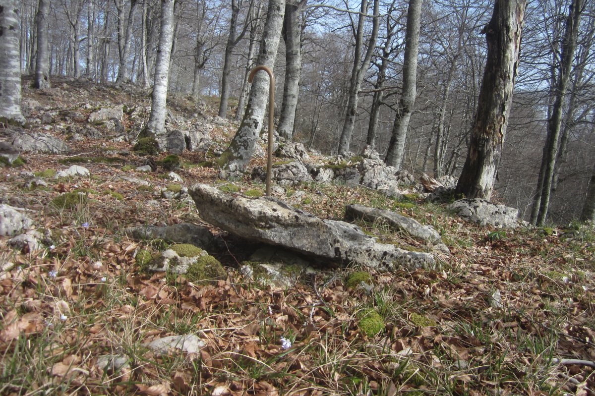 Dólmen* Kapitarte II (Febrero 2020)