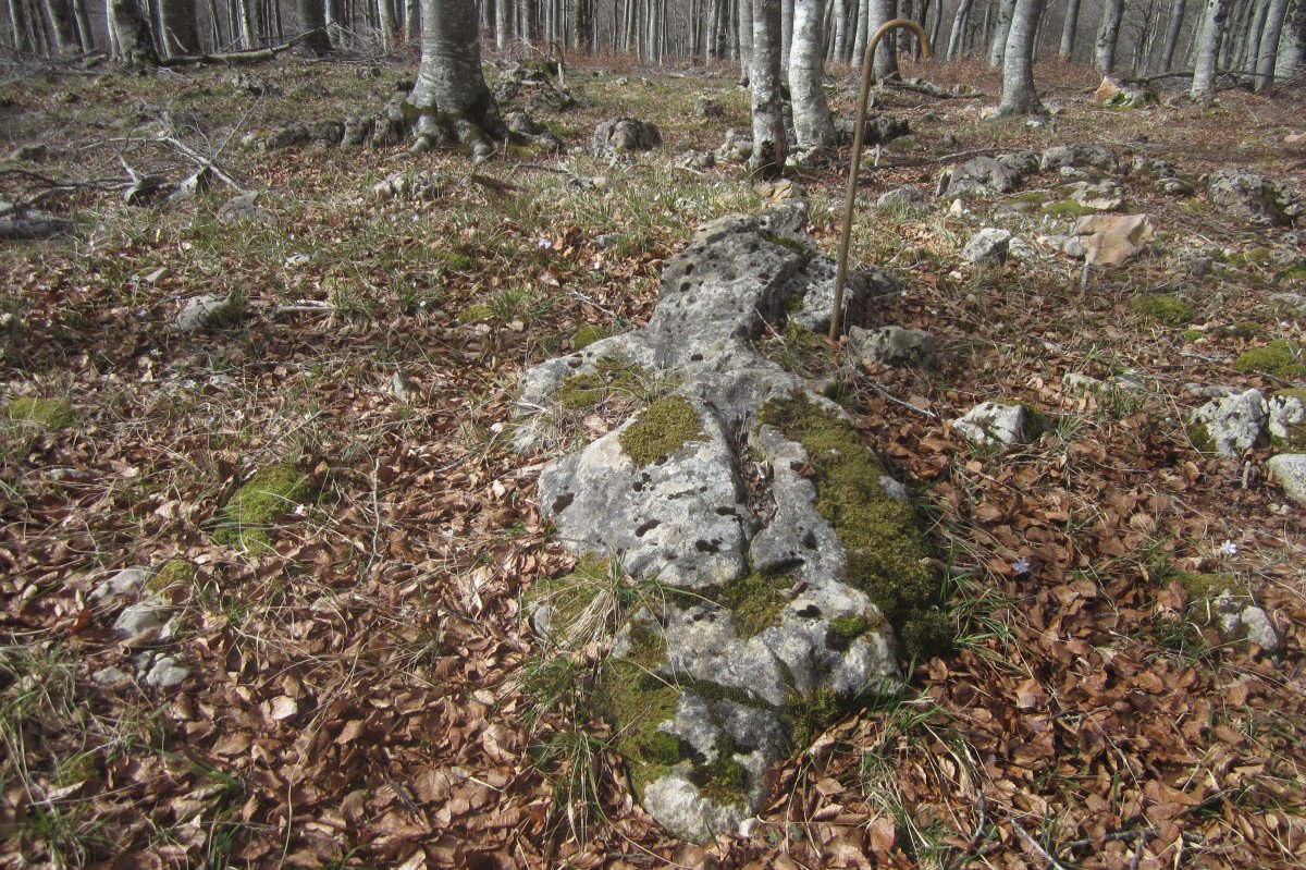 Dólmen* Kapitarte II (Febrero 2020)