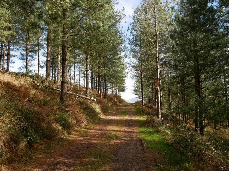 Mendigainera iristen