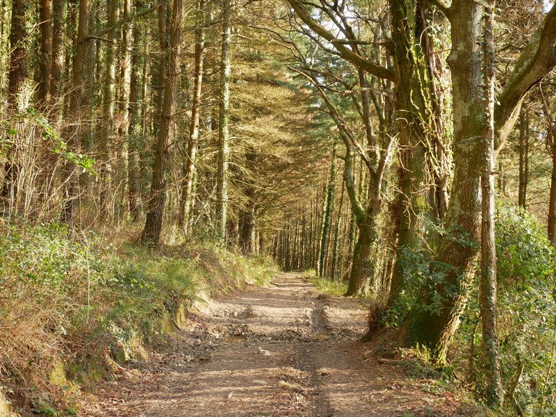 Jaitsierako pasarte bat