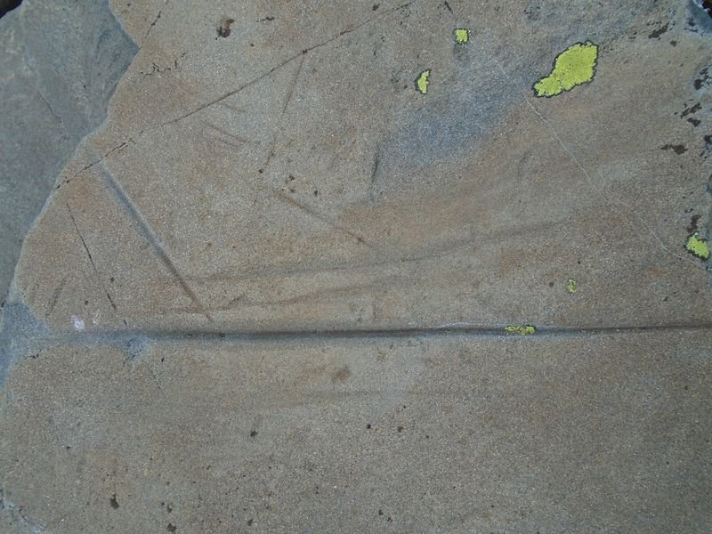 polissoir plaa houngarous