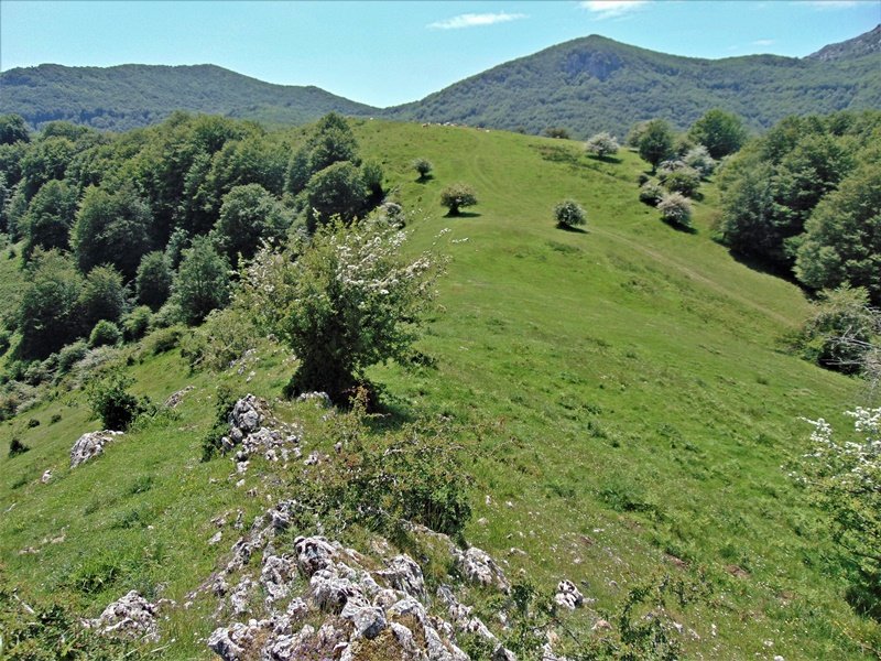 Tontorra Iramendiko Puntatik