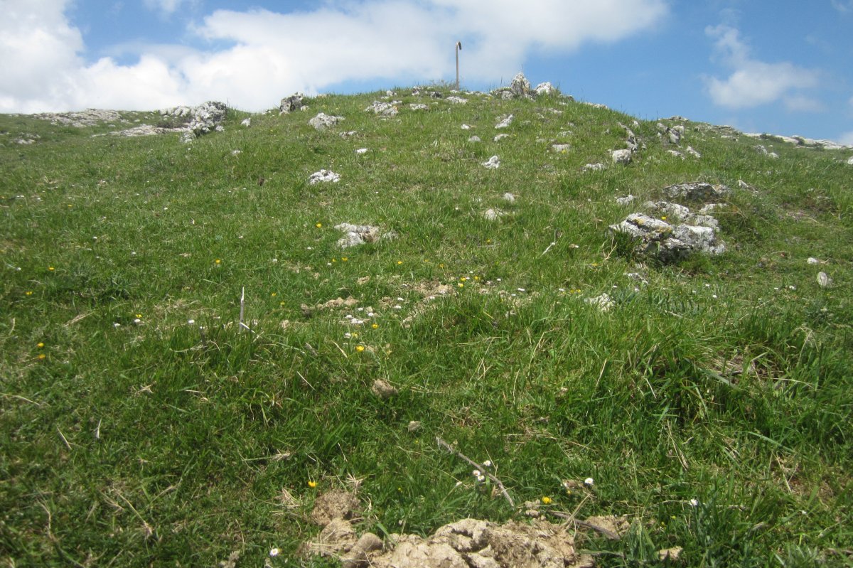 Túmulo Orkatzategi (Mayo 2020)