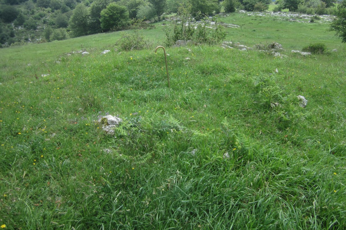 Túmulo Ametzueta  (Mayo 2020)