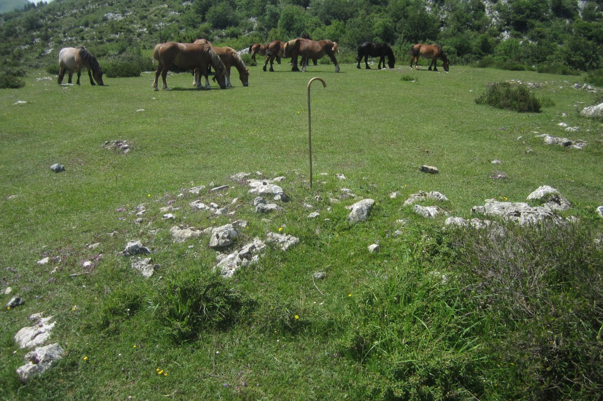 Túmulo nº 2 (Mayo 2020)