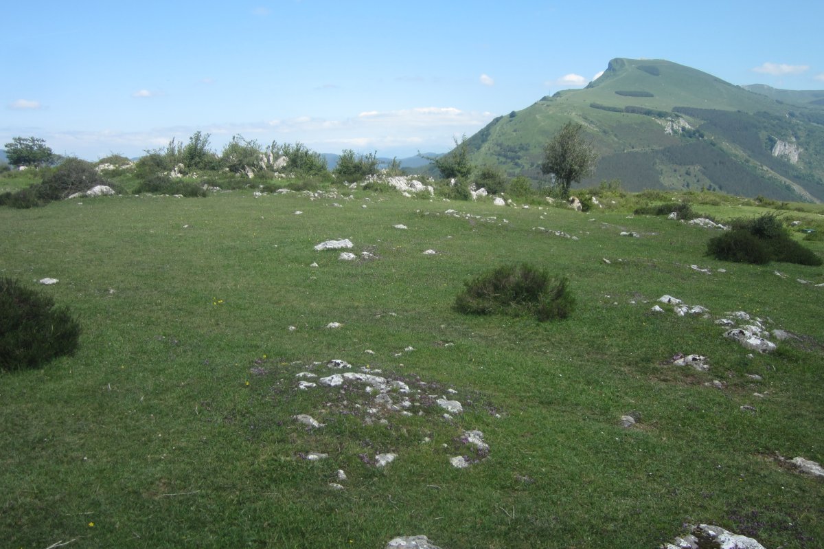 Vista general del Campo Tumular  (Mayo 2020)