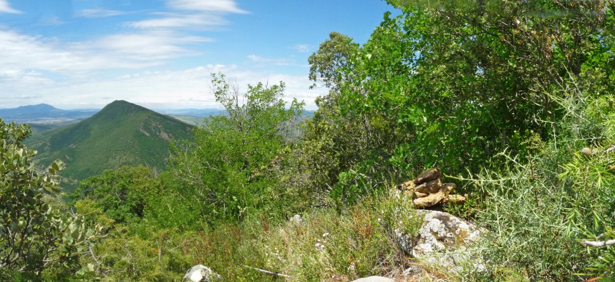 Mendebaldeko gailurra