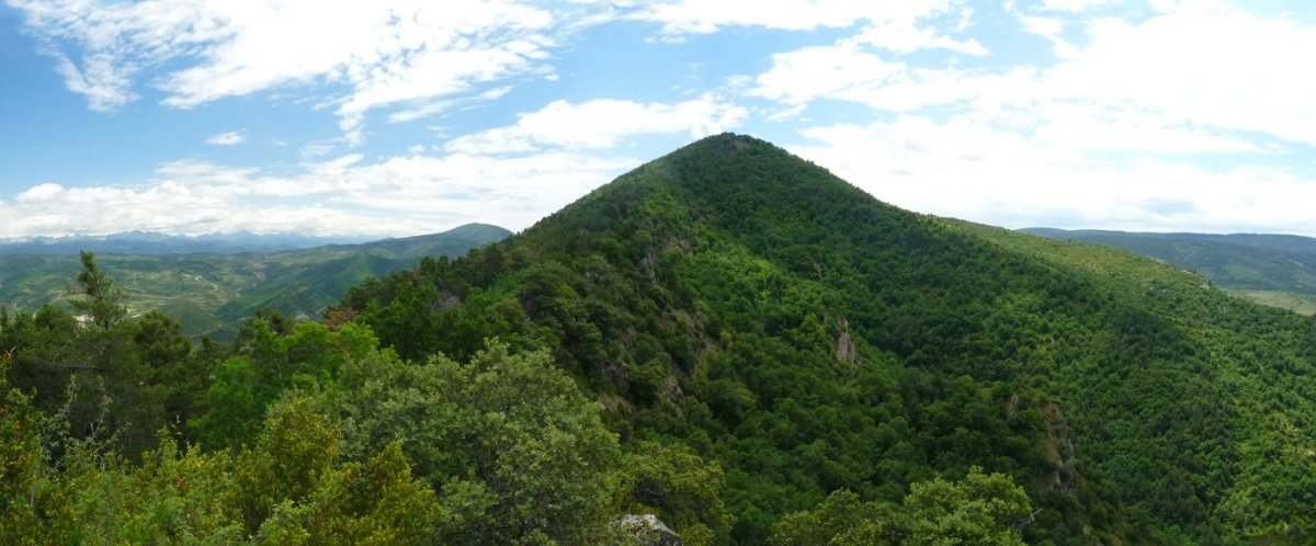 San Kiriiko, Puntallotik