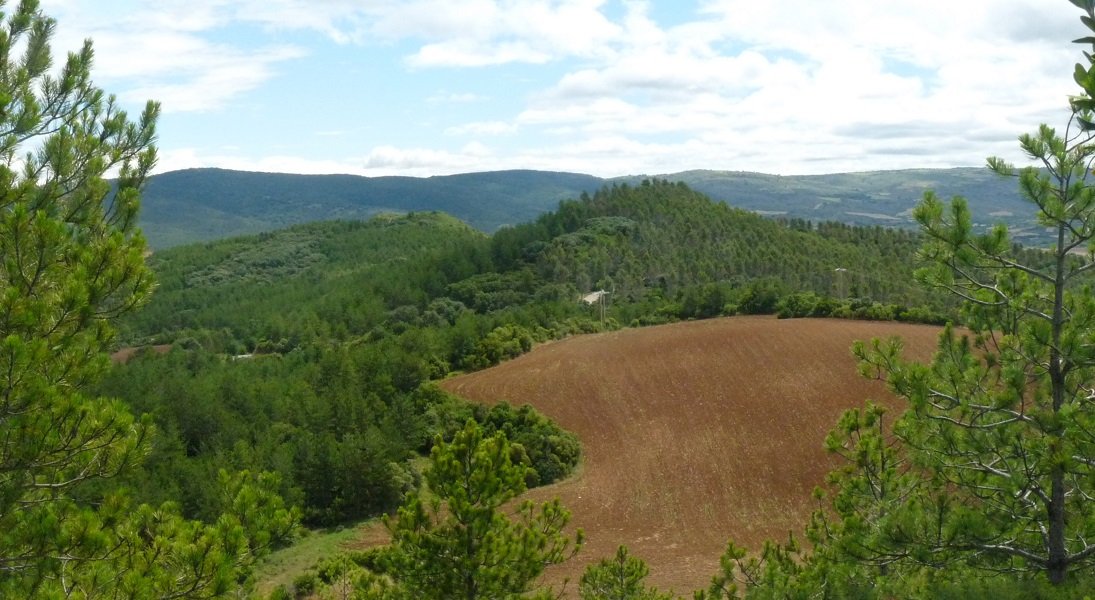 Kastellarko bi gialurrak 