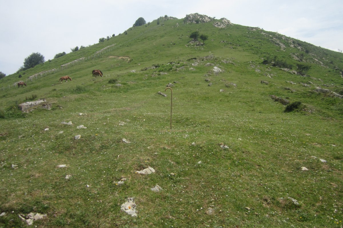 Túmulo Alkorta (Junio 2020)