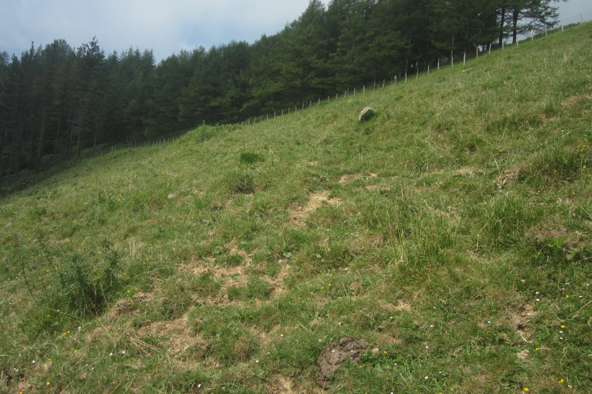 Monolito Aitola (Junio 2020)