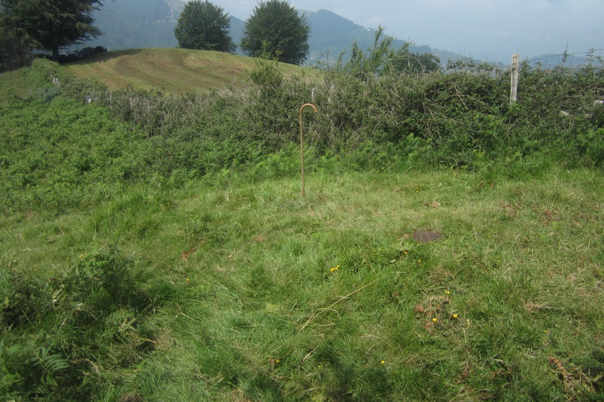 Túmulo Aitolamendi (Junio 2020)