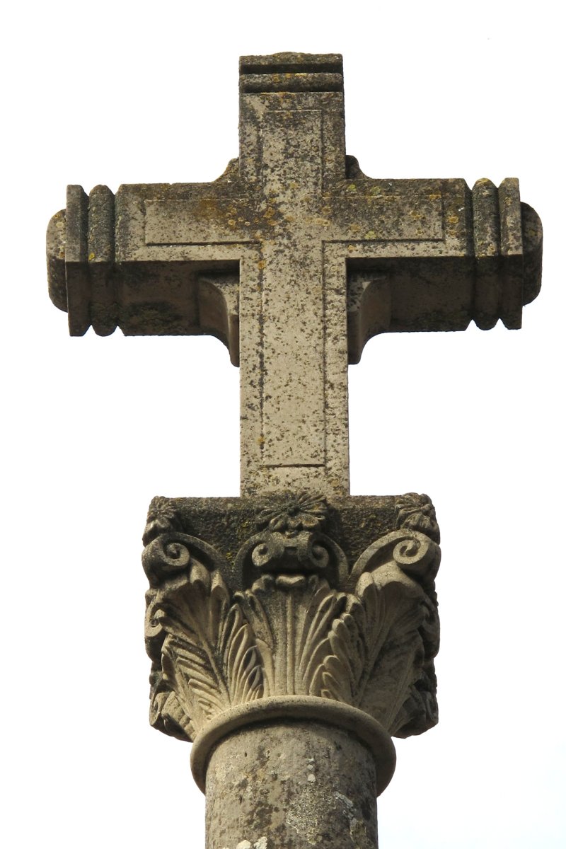 San Francisco kruzeroa, Erriberri