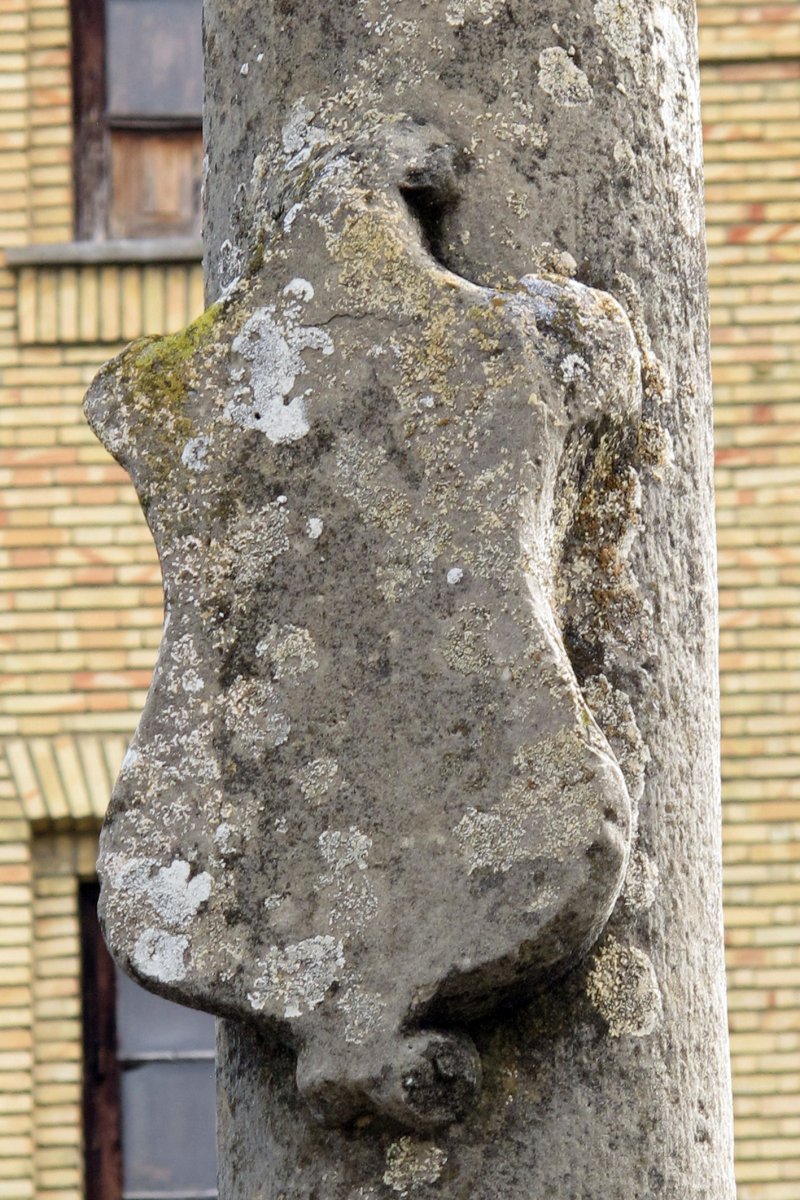 San Francisco kruzeroa, Erriberri