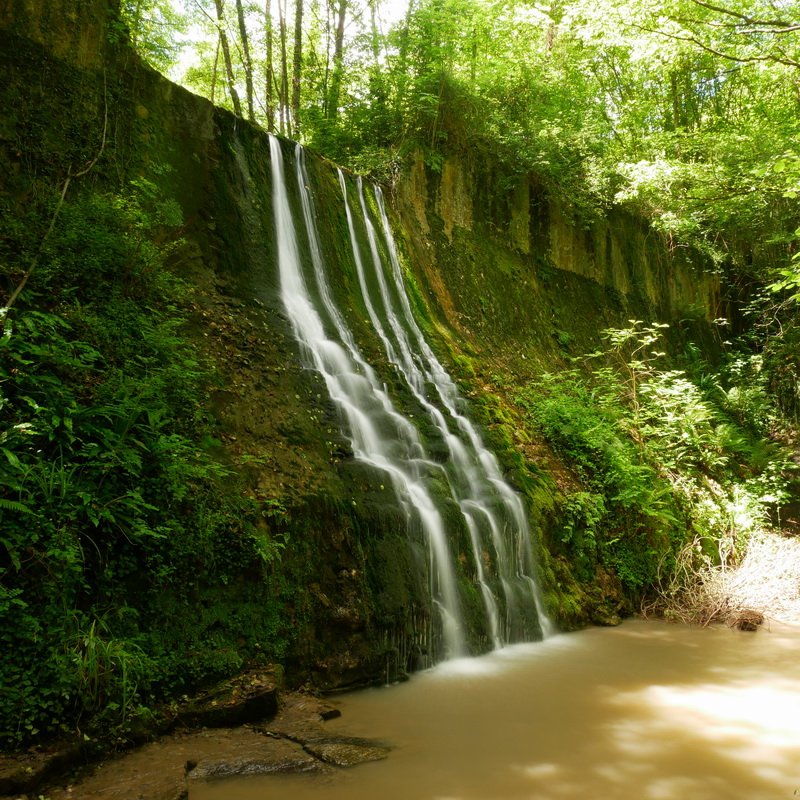 Bolintxuko ur-jauzia