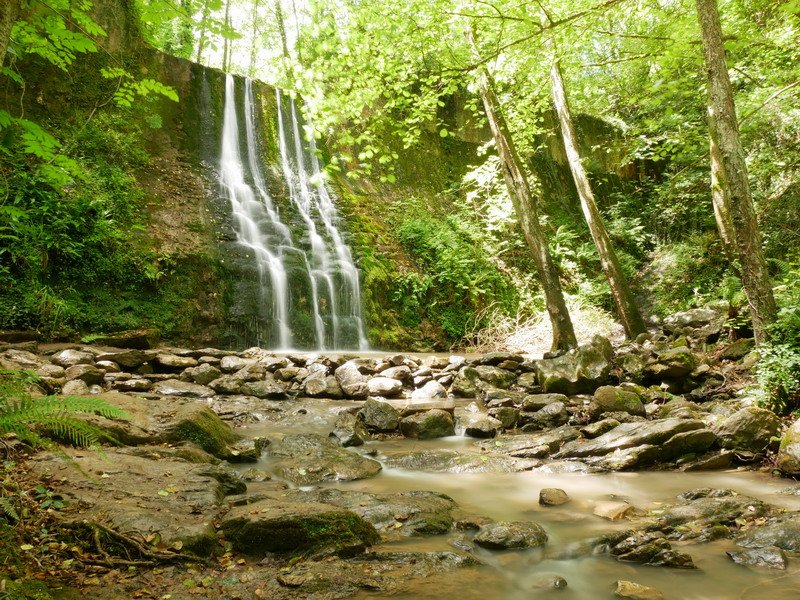 Bolintxuko ur-jauzia