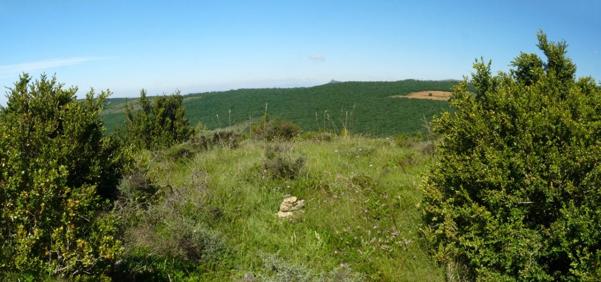 Saleras gaineko galurra