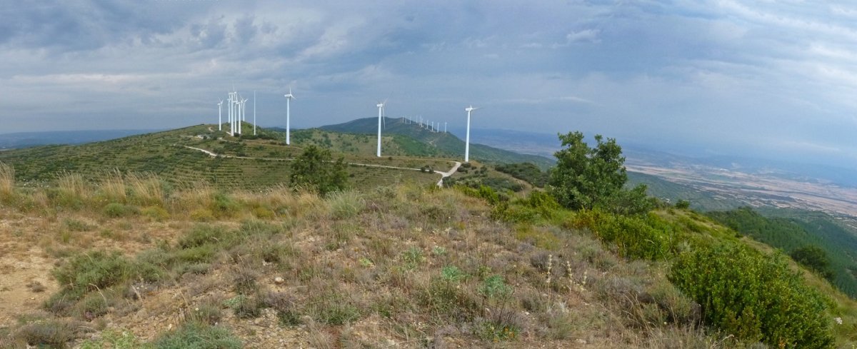 Peña Royako haizerrotak