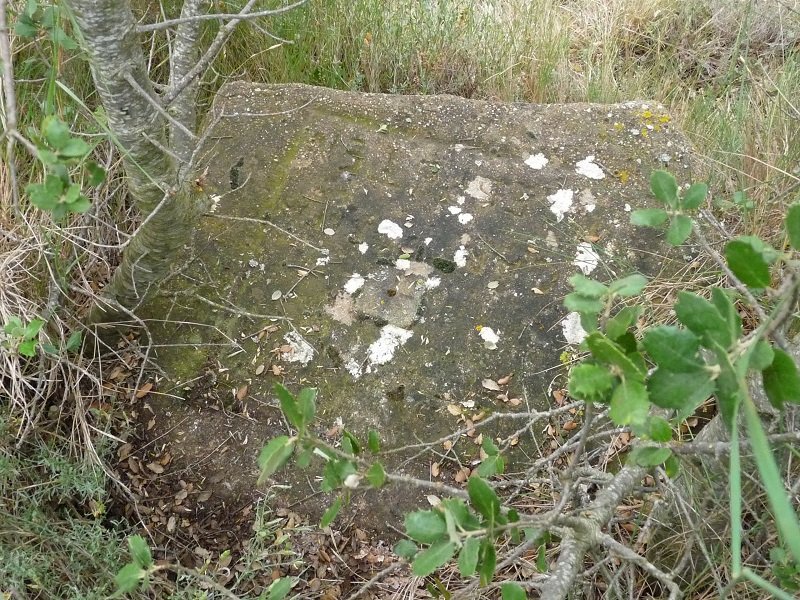 Nafarroako tako geodesikoa