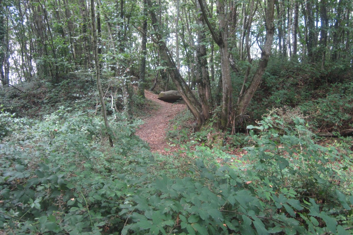 Dólmen Pouey Majou  (Julio 2020)