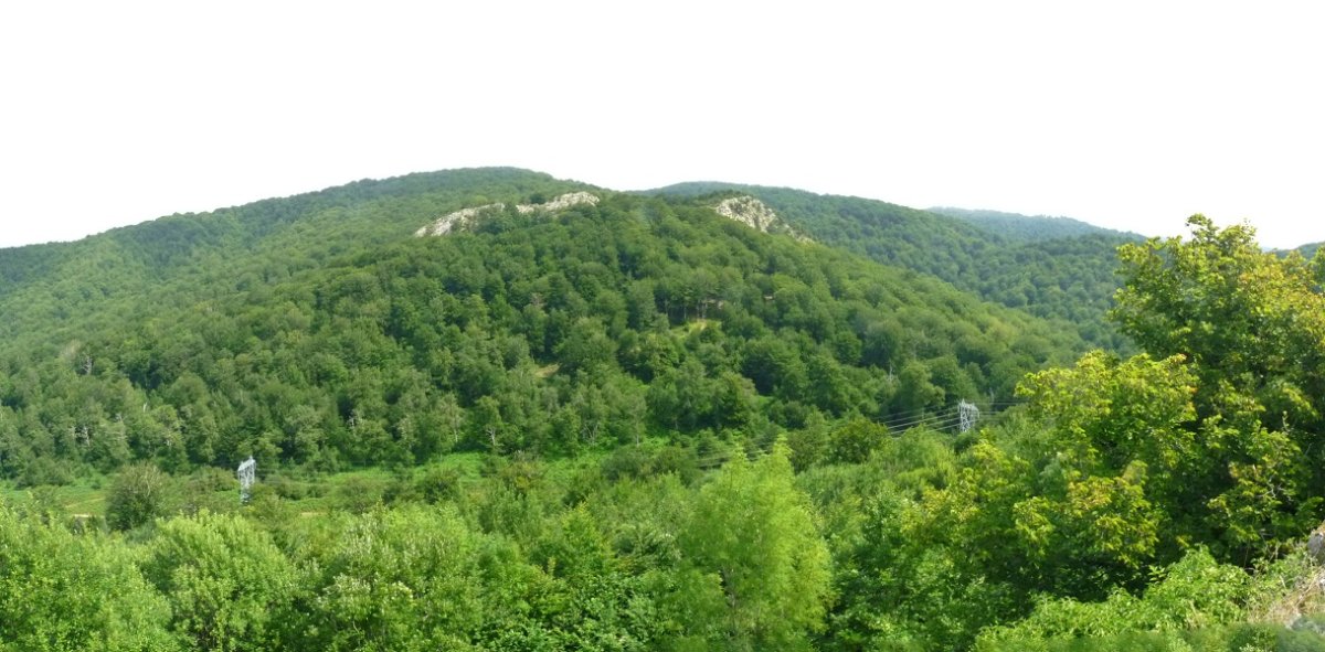 Arbotonaundi eta Arbotontxiki