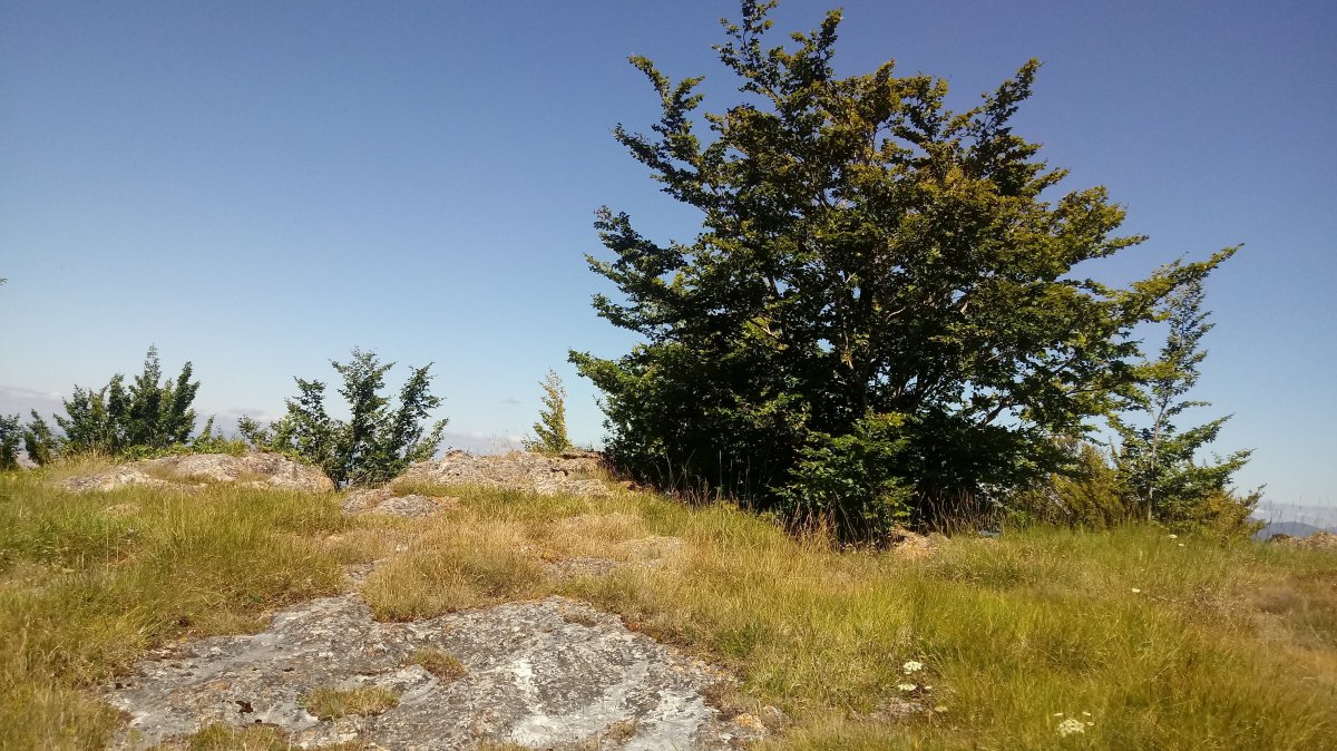 Basasakan (1033m) tontorra