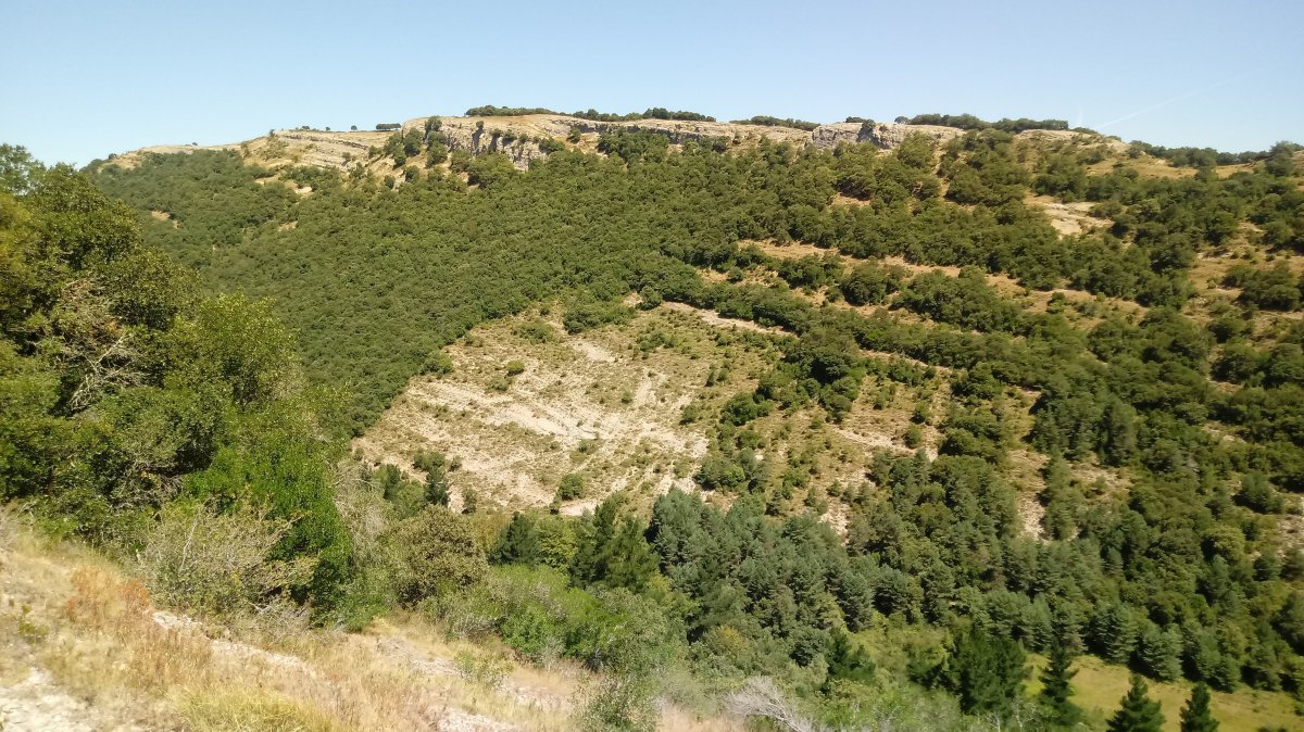 Arrato (887m) Amaritu aldetik