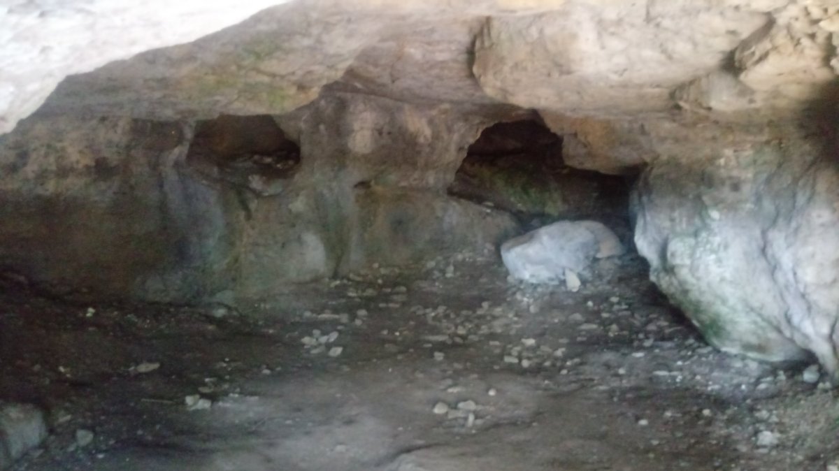 Urisolo goba, barrukaldea