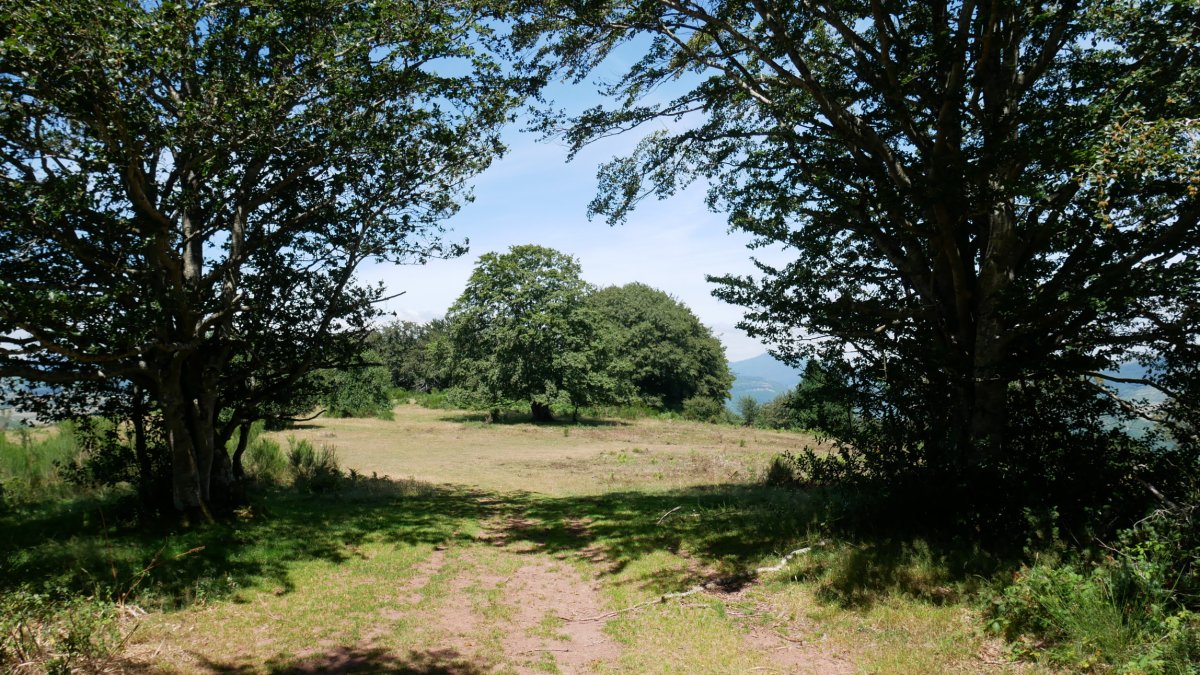 Iparraldeko bizkarreko pasartea