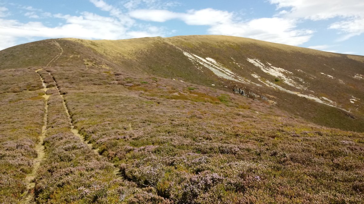 Ortzanzurieta (1567m) Laparordoki aldetik