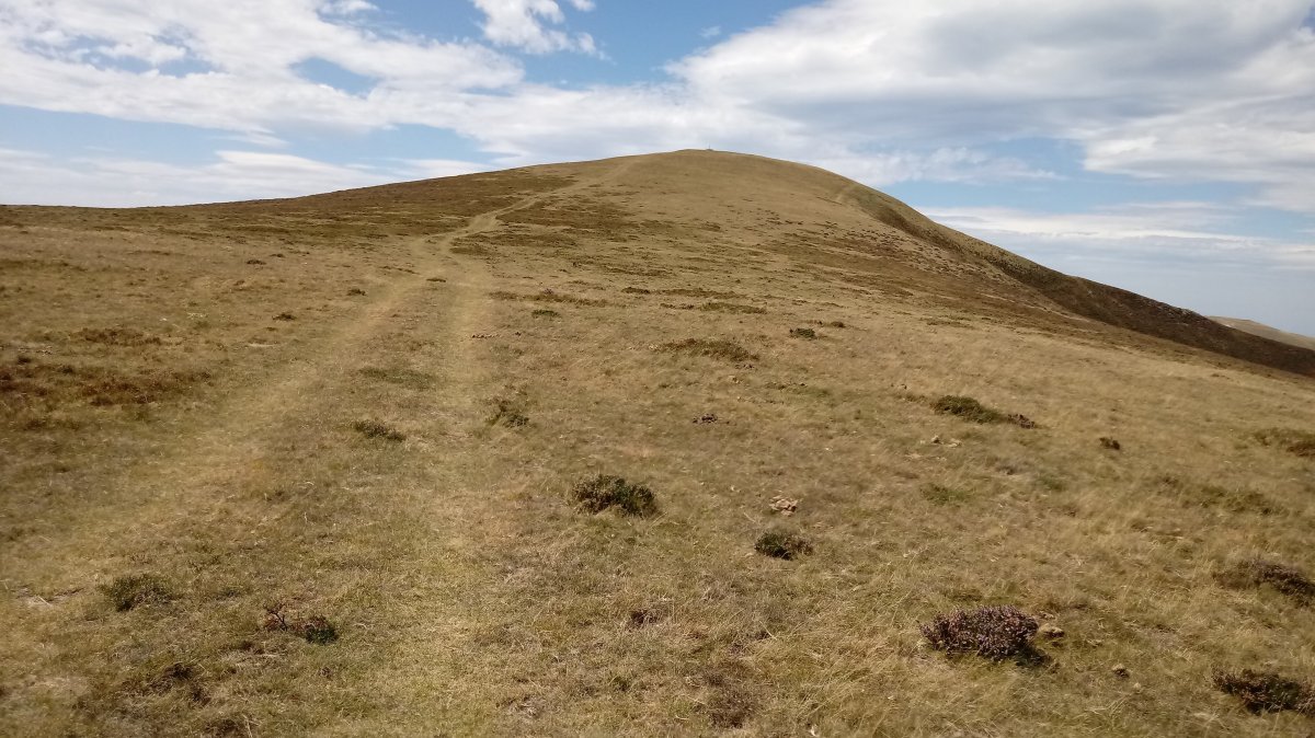 Ortzanzurieta (1567m) ekialdeko magalea