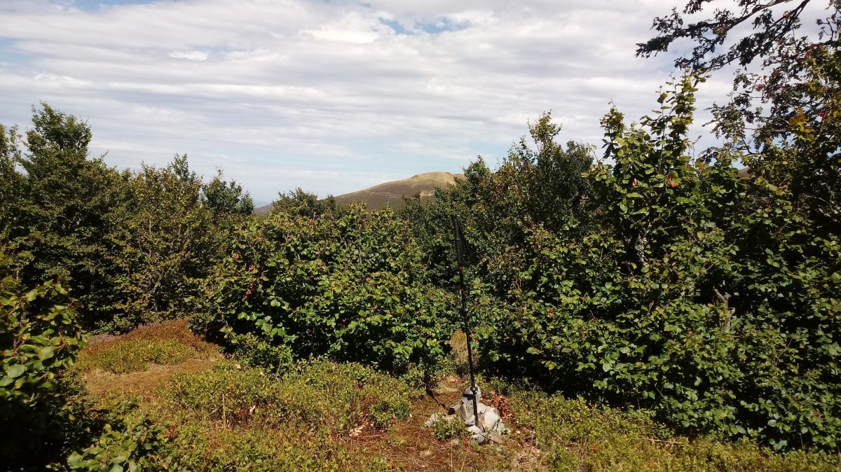 Laparordoki (1399) tontorra