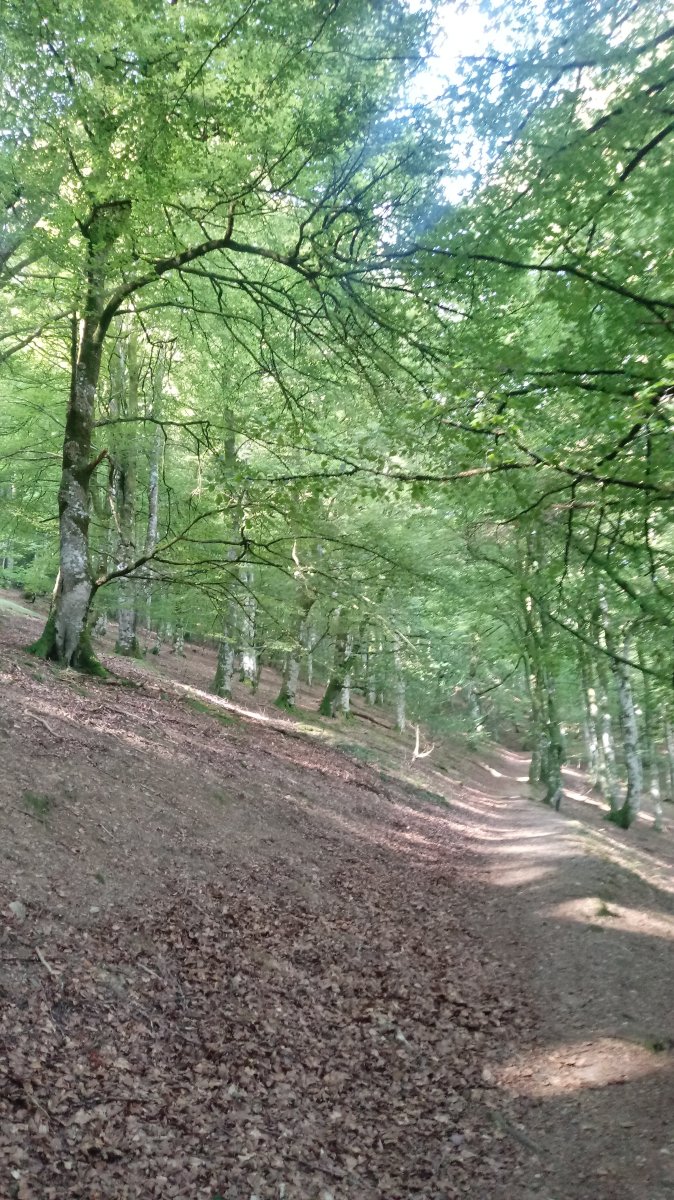 Arlagain (1059m) bidezidorra