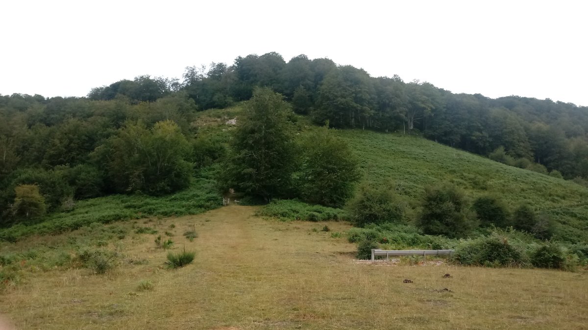 Azalegi (1164m) Arratzola aldetiko igoeran