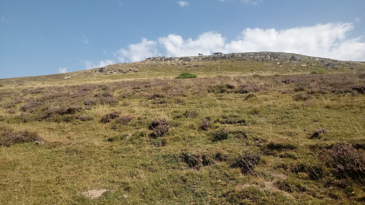 Dukea (1481m) tontorra