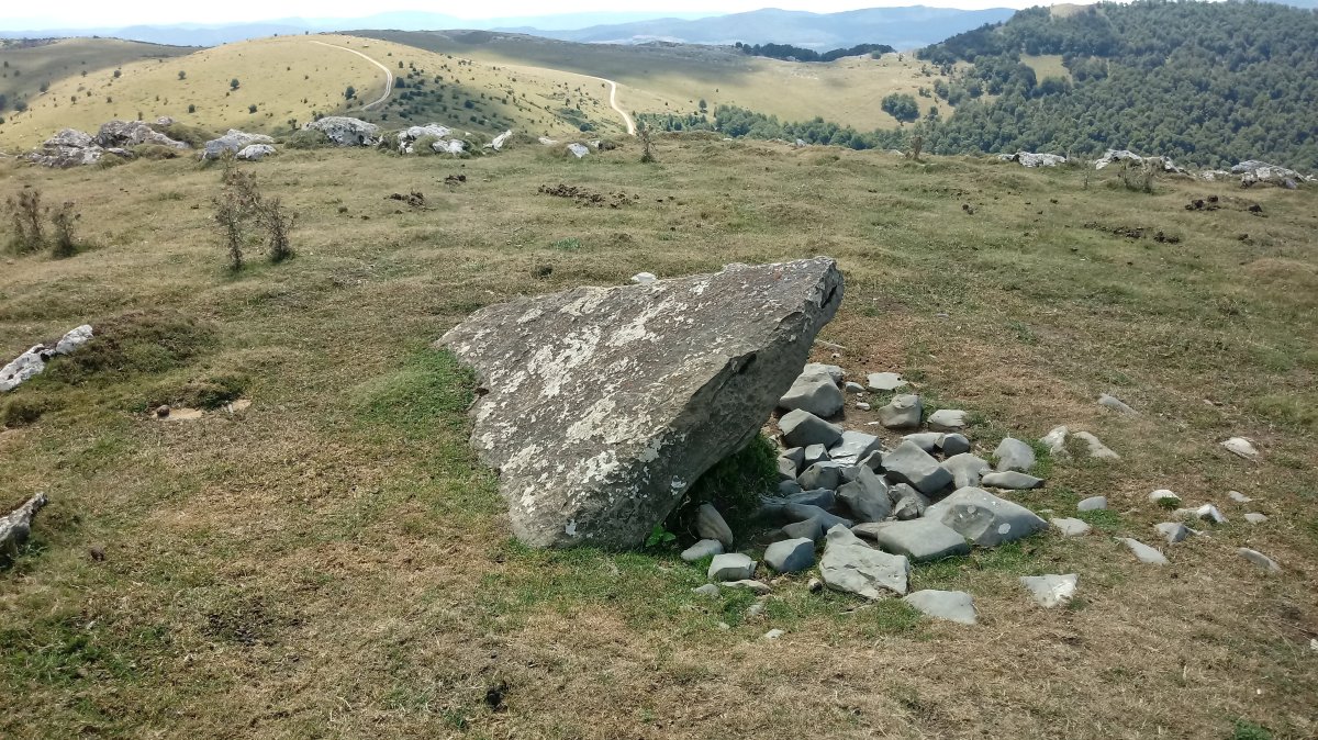 Gibelea trikuharria Auztarri tontorrean