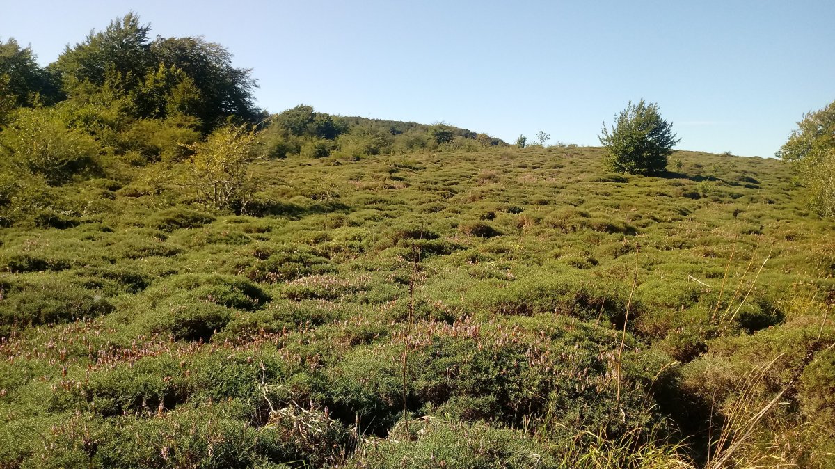 Harri Eder Gaina (1175m) gaina otez josita