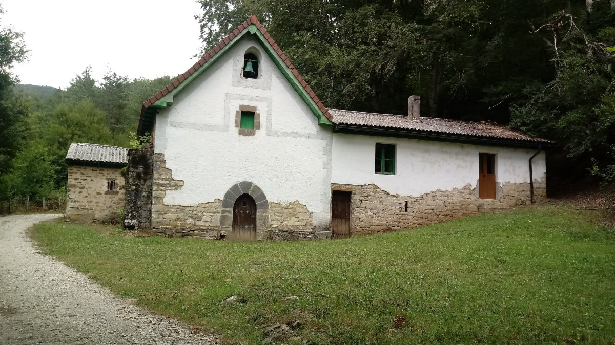 Argiloaingo baseliza