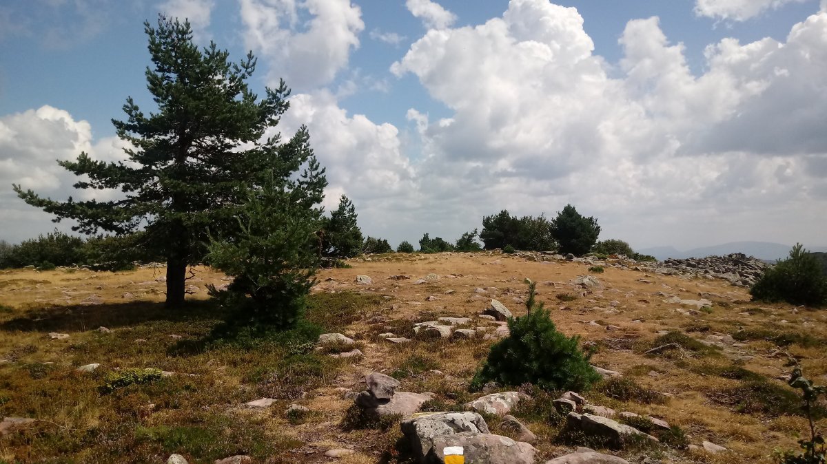 Baigura (1474m) tontorreko zelaigunea