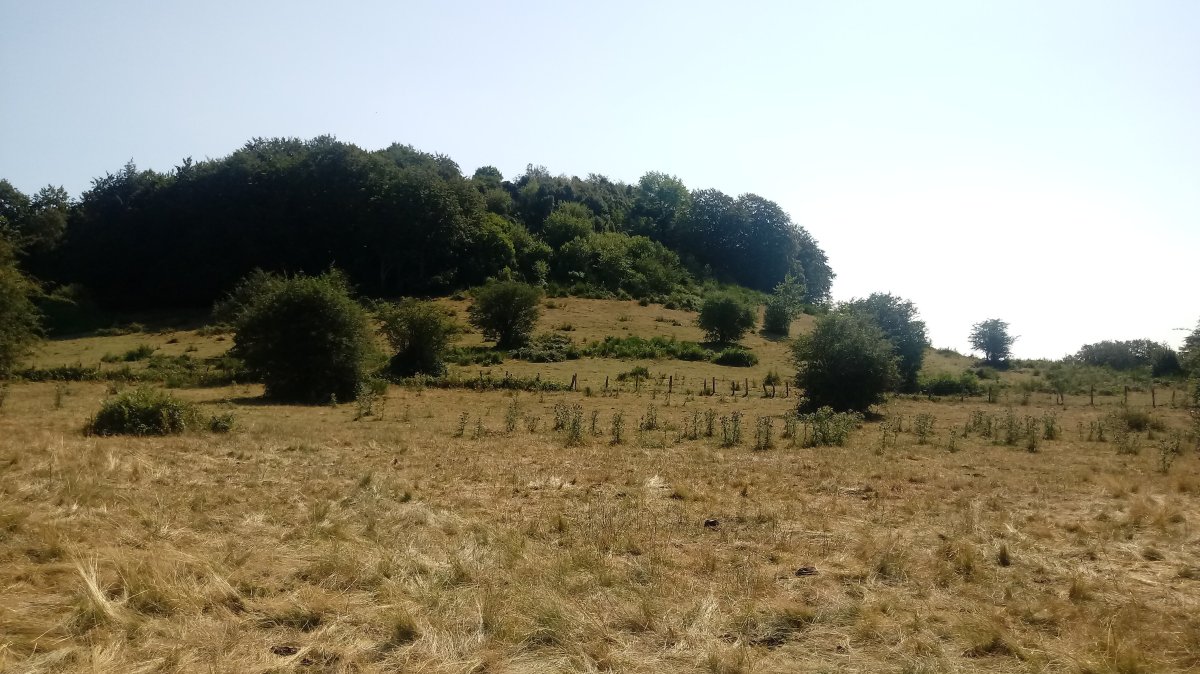 Aginaga (1276m) lepotik