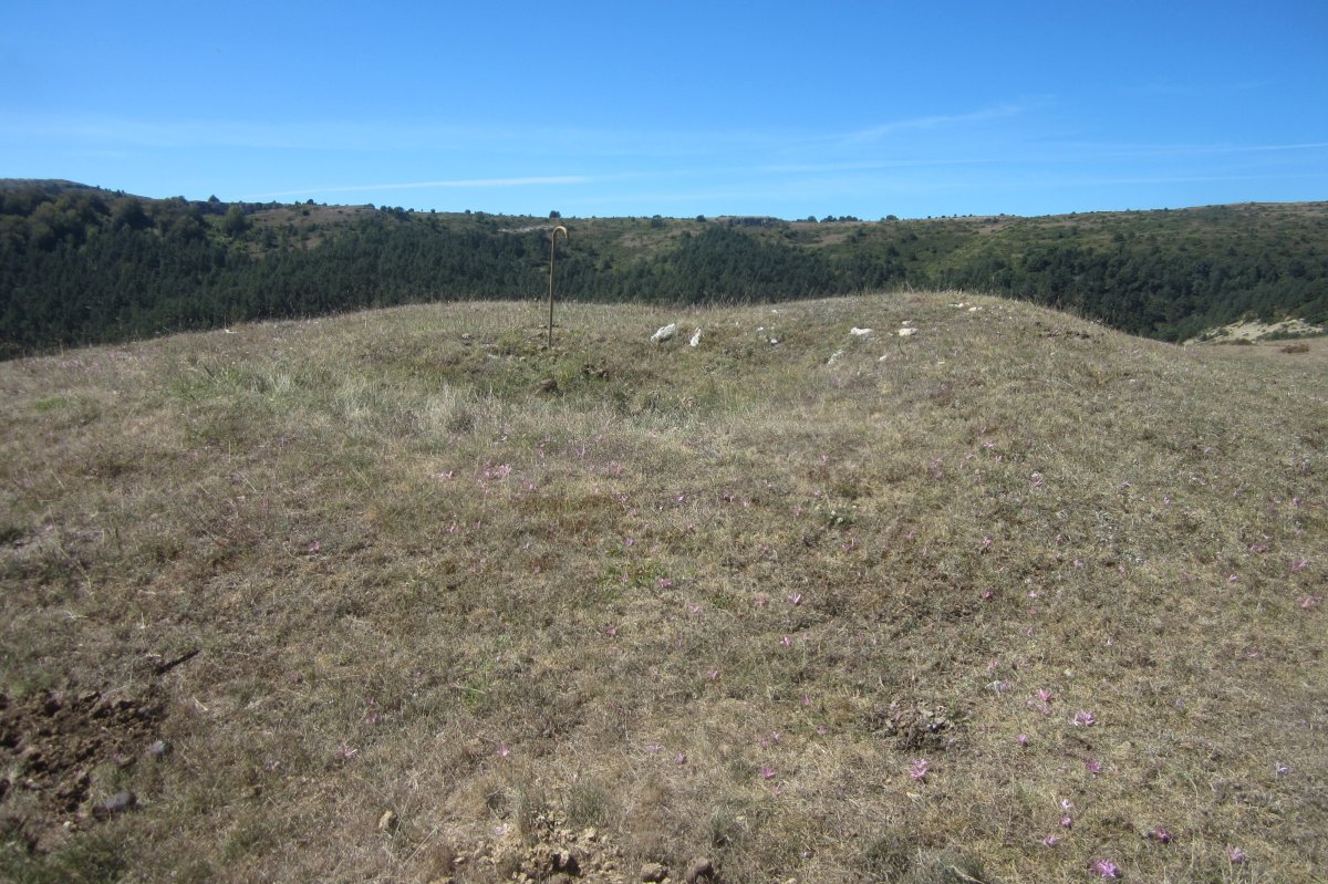 Túmulo El Castrillo (Septiembre 2020)