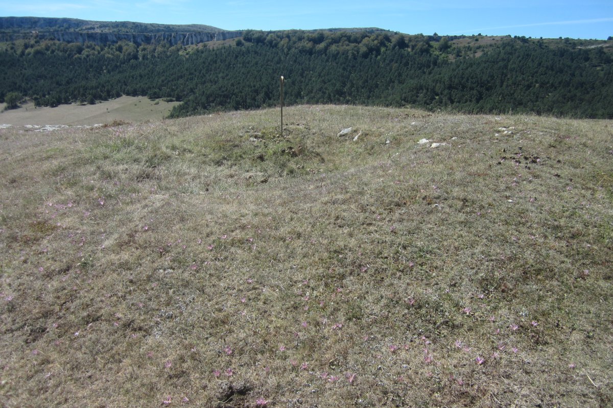 Túmulo El Castrillo (Septiembre 2020)