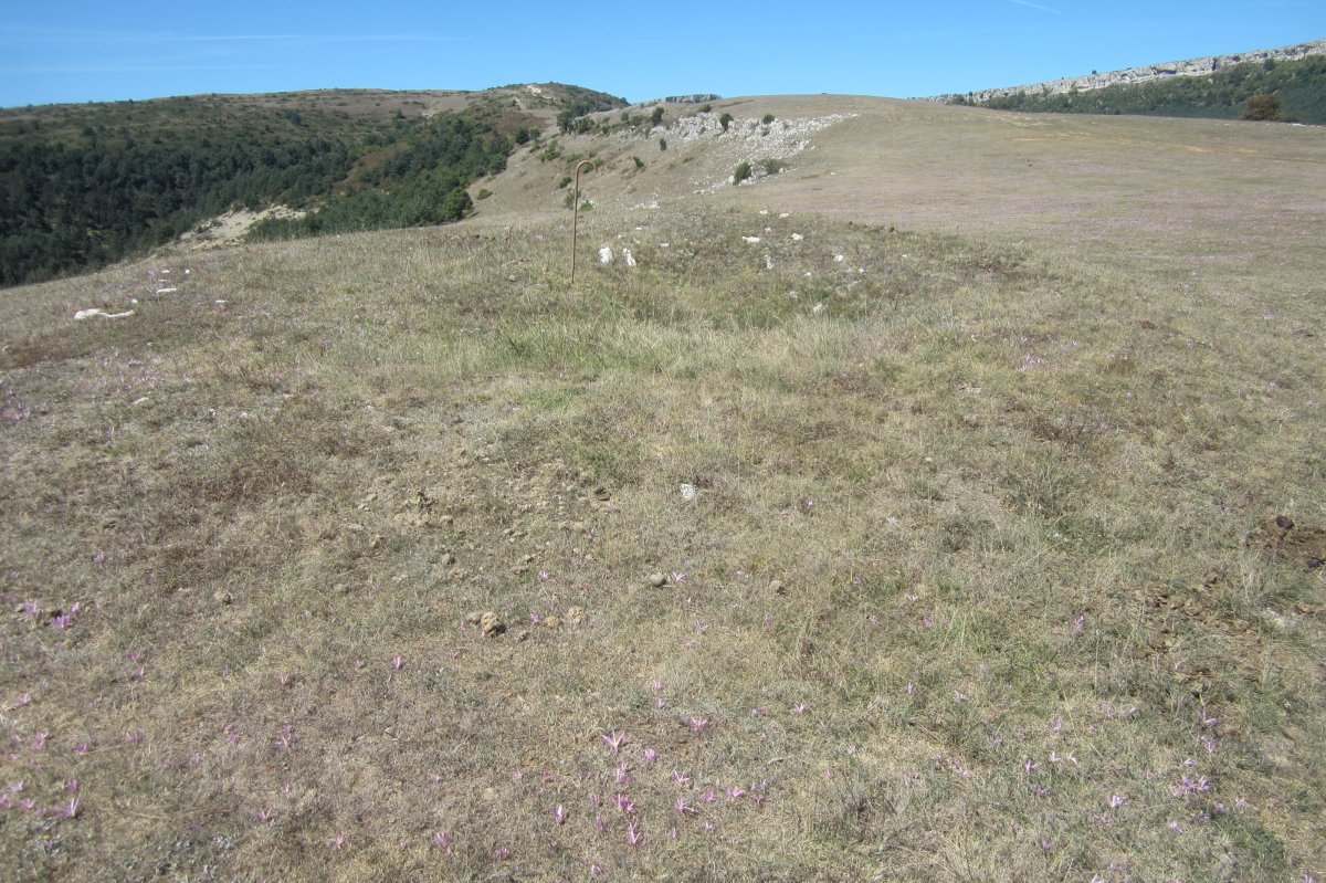 Túmulo El Castrillo (Septiembre 2020)